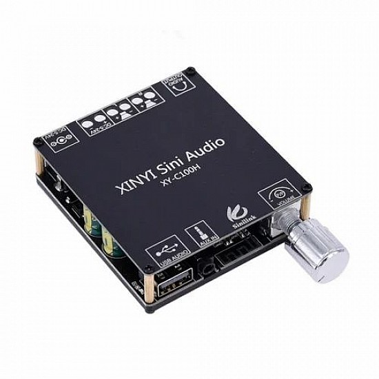 HIFI AUX TPA3116 XINYI Sini Audio 2*100W Digital Power Amplifier Board