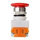 LAY37 02ZS 2 Normally Closed Self-Locking 22mm Mushroom Head Emergency Stop Switch