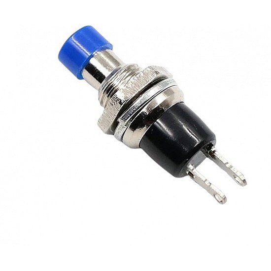 Push Through Blue Button Switch PBS-110