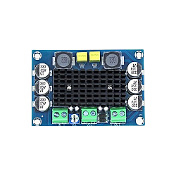 XH-M542 TPA3116D2 Mono 100W Digital Power Amplifier Board - Compatible Chip