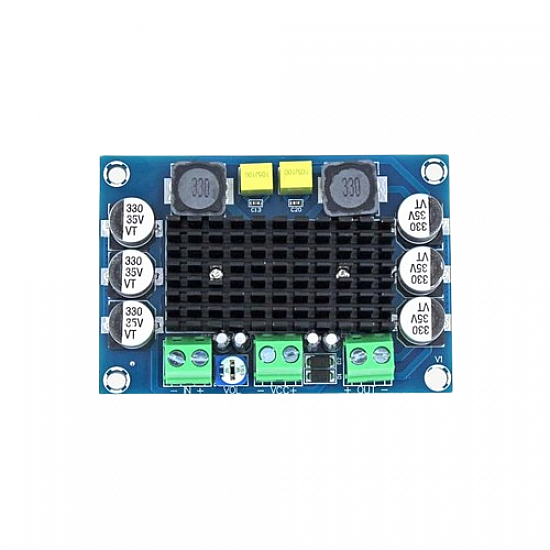 XH-M542 TPA3116D2 Mono 100W Digital Power Amplifier Board Compatible Chip