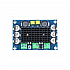 XH-M542 TPA3116D2 Mono 100W Digital Power Amplifier Board - Compatible Chip